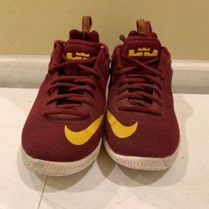NIKE LEBRON ZOOM WITNESS CAVALIERS WINE
